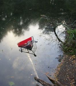 A bright orange shopping cart in the pond at Van Horn Park.